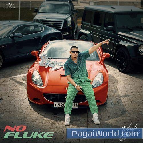 No Fluke No Fluke Poster