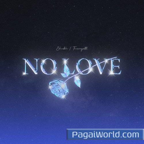 NO LOVE Poster