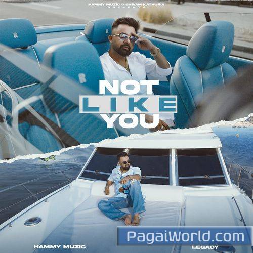Not Like You Poster