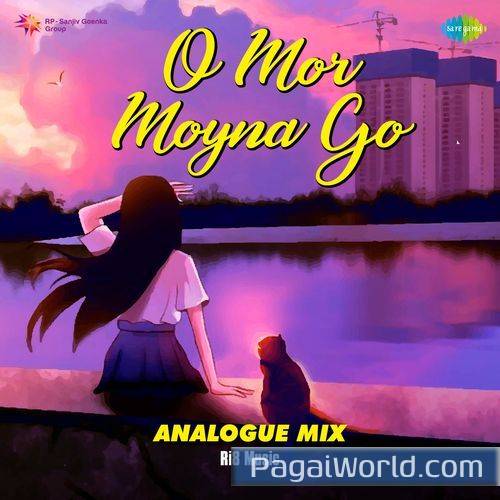O Mor Moyna Go Analogue Mix Poster