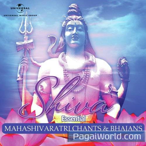 Om Namah Shivaya Poster