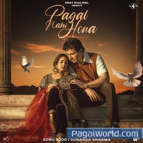 Pagal Nahi Hona feat Sonu Sood Pagal Nahi Hona feat Sonu Sood Poster