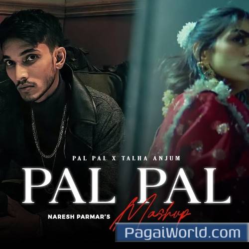 Pal Pal Mashup Poster