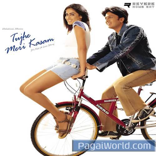 Pal Pal Soch Mein Aana Na Pal Pal Soch Mein Aana Na Poster