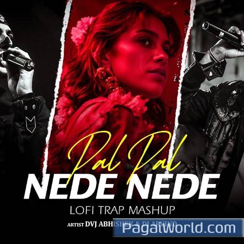 Pal Pal X Nede Nede Mashup Poster