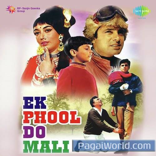 Parda Hata Do Poster