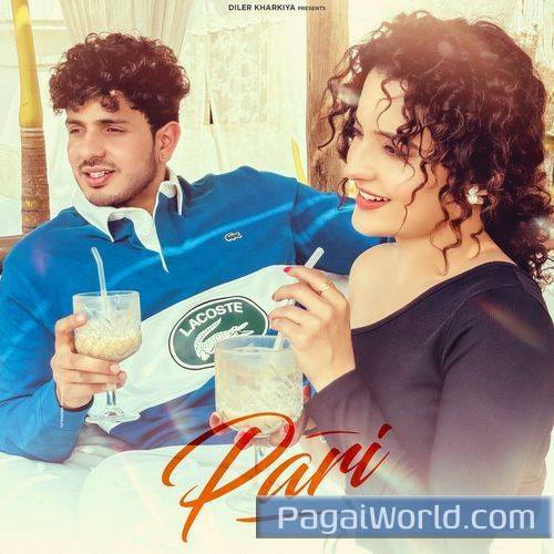 Pari Pari Poster