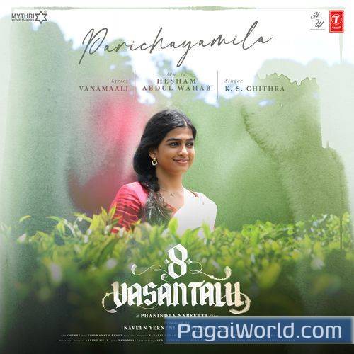 Parichayamila From 8 Vasantalu Poster