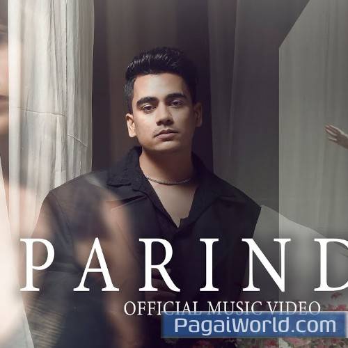 Parinda Parinda Poster