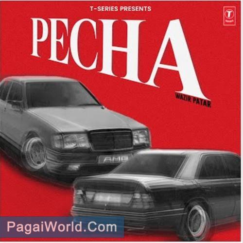 PECHA PECHA Poster