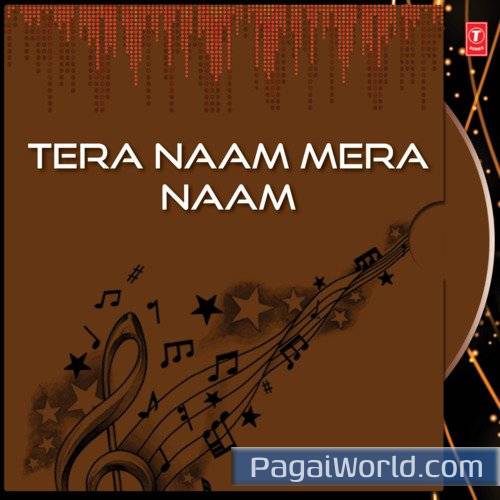 Pehla Pyar Pehla Gham Poster