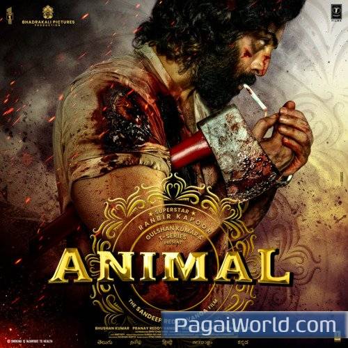 Pehle Bhi Main Poster