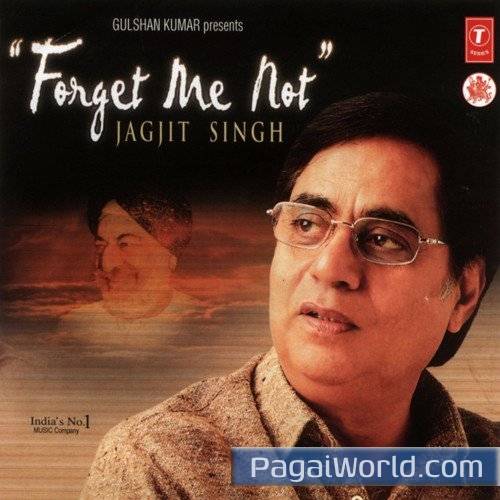 Phool Bhare Hain Phool Bhare Hain Poster
