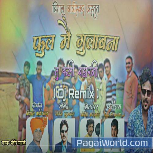 Phool Mai Gulabna Tu Kali Baharni Dj Remix Poster