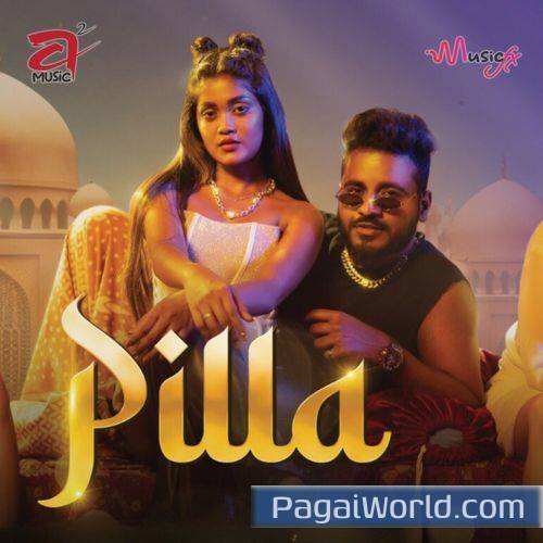 Pilla Pilla Poster