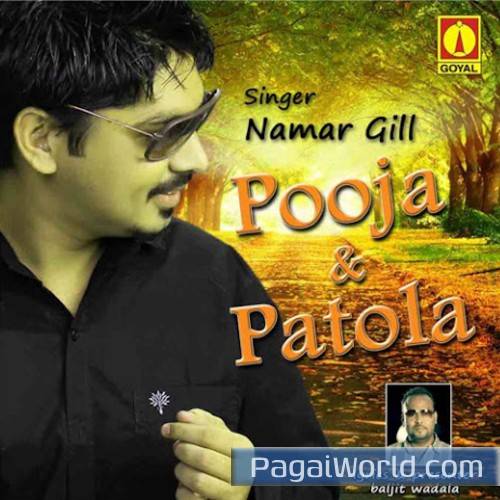 Pooja And Patola Poster