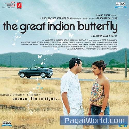 Pretty Butterfly Pretty Butterfly Poster