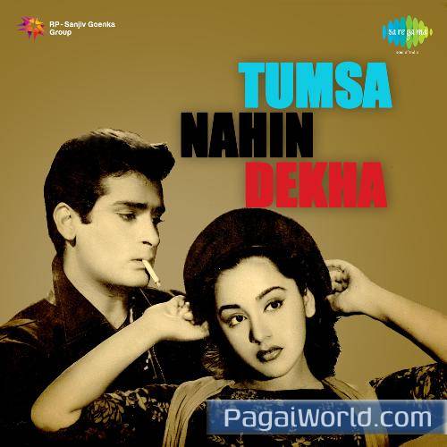 Pukarta Chala Hoon Main Poster