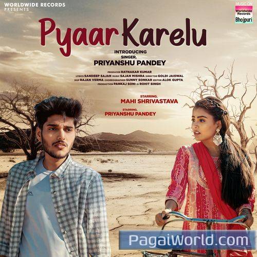 Pyaar Karelu Poster
