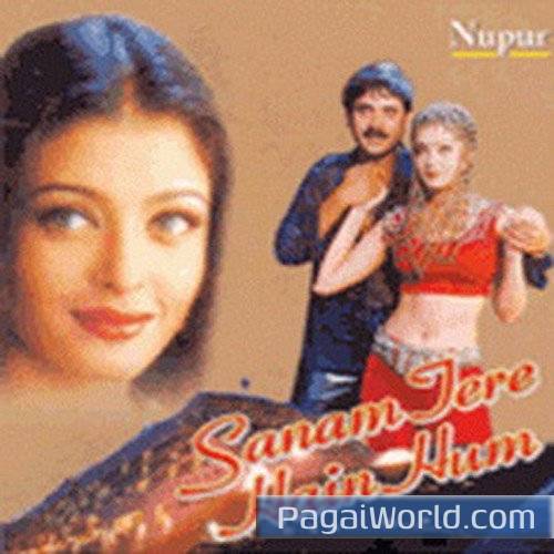 Pyar Ho Gaya Hamme Pyar Ho Gaya Hamme Poster