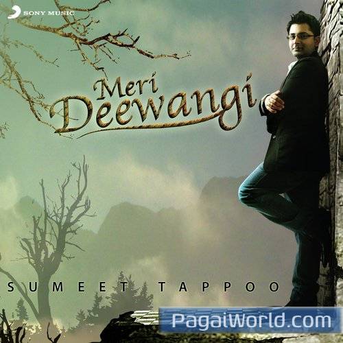 Pyar Ho Jaane Do Poster