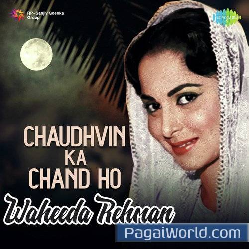 Raat Bhi Hai Kuchh Bheegi Bheegi Poster