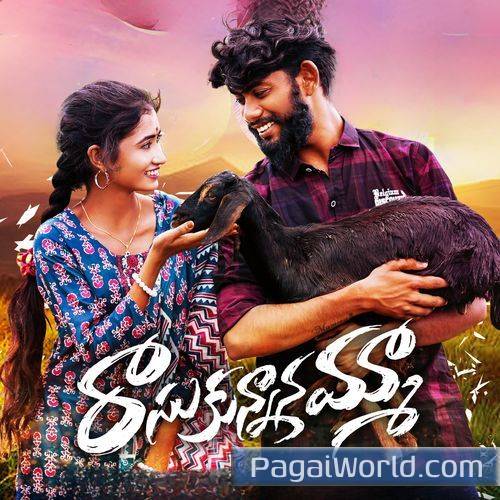 RASUKUNNANAMMA Poster