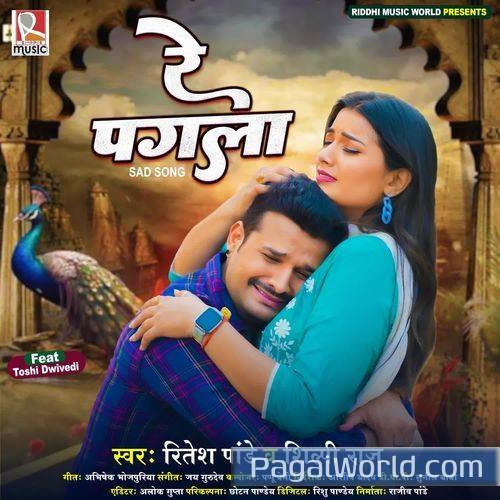 Re Pagla Re Pagla Poster