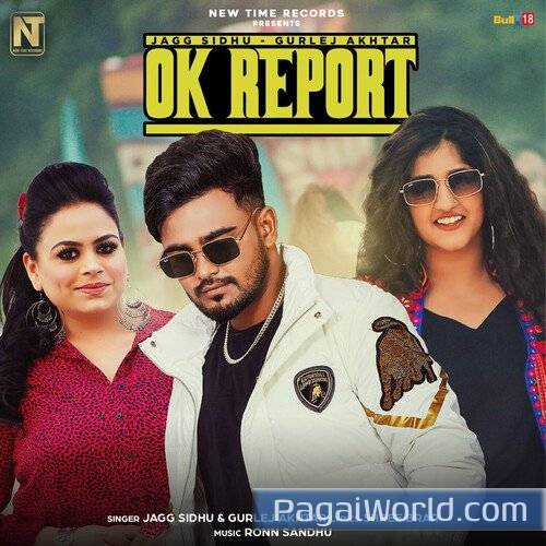 Report OK Report OK Poster