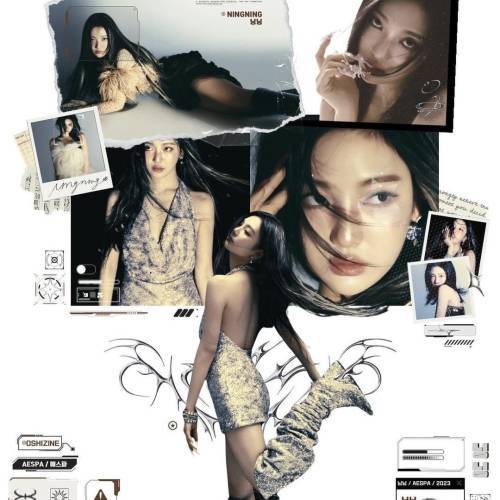 Reticence (내면의 소리) Poster