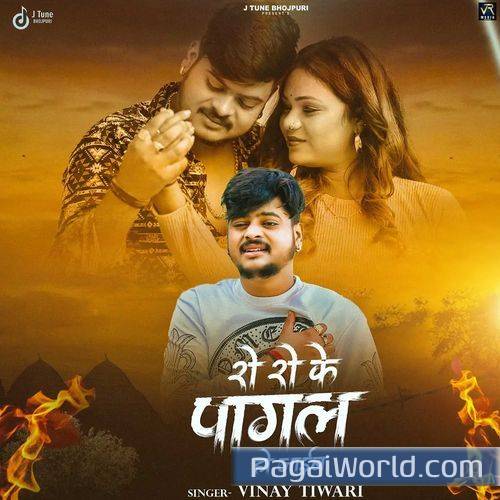 Ro Ro Ke Pagal Ho Jaib Poster
