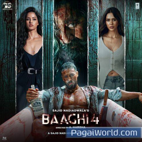 Rona Sikha Diya Rona Sikha Diya Poster
