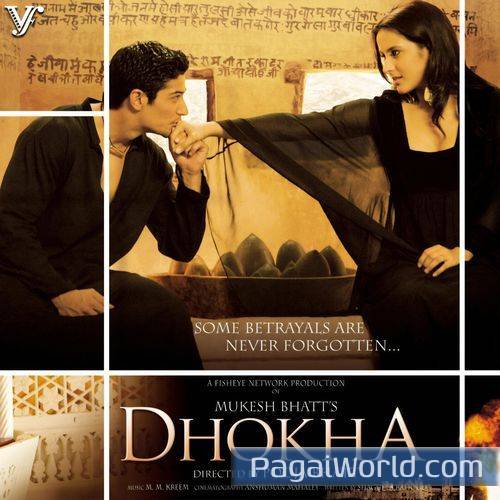 Roya Re Remix Poster