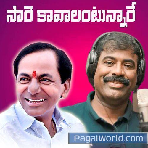 Saare Kavalantunnare KCR Song Poster