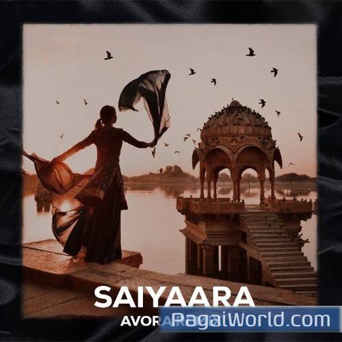 Saiyaara Avora Remix Saiyaara Avora Remix Poster