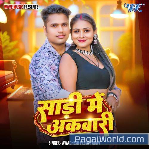 Saree Me Akwari Poster