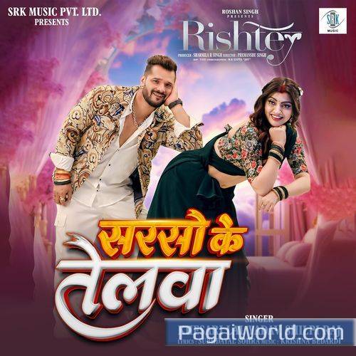 Sarso Ke Telwa From Rishtey Sarso Ke Telwa From Rishtey Poster