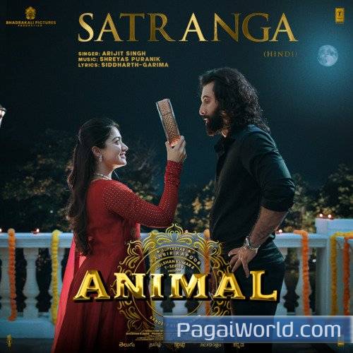 Satranga From ANIMAL Poster