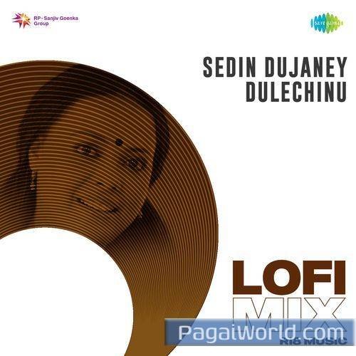 Sedin Dujaney Dulechinu Lofi Mix Sedin Dujaney Dulechinu Lofi Mix Poster
