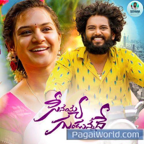 Seenayya Gundunnadhe Seenayya Gundunnadhe Poster