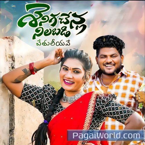 SENIGA CHENLA NILABADI CHETHULIYAVE SENIGA CHENLA NILABADI CHETHULIYAVE Poster