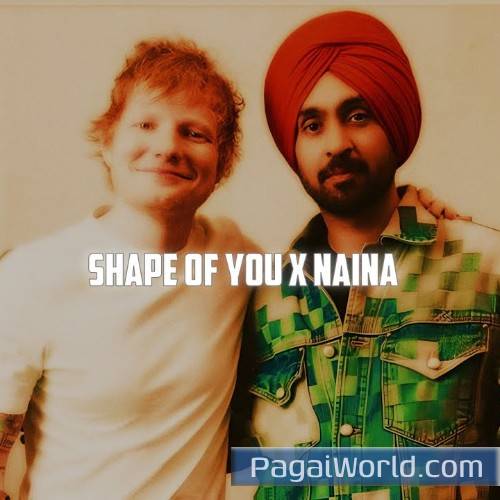Shape Of You X Naina Poster