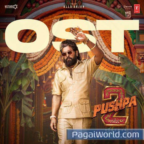 Shekhawat Theme Shekhawat Theme Poster