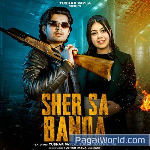 Sher Sa Banda Sher Sa Banda Poster