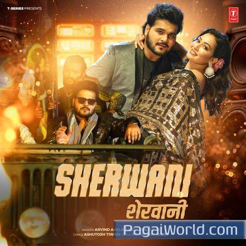 Sherwani Sherwani Poster