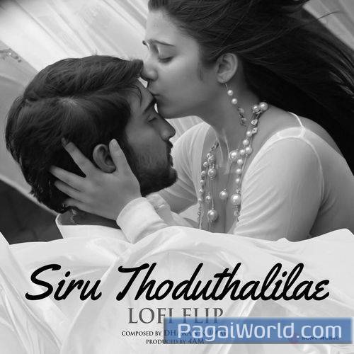 Siru Thoduthalilae Lofi Flip Siru Thoduthalilae Lofi Flip Poster