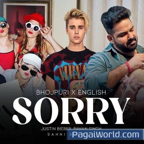 Sorry Poster