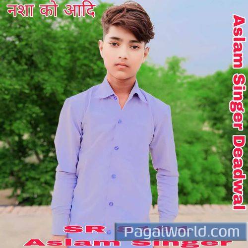Sr 8181 Aslam Singer Sr 8181 Aslam Singer Poster
