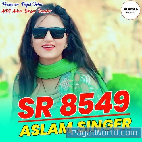 SR 8549 Aslam Singer SR 8549 Aslam Singer Poster