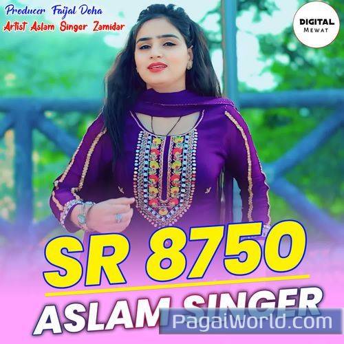 SR 8750 Aslam Singer SR 8750 Aslam Singer Poster